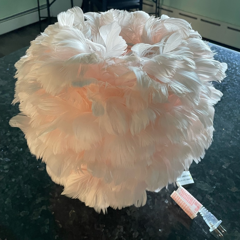 2 Light Pink- These are Gorgeous, Perfect Accent Piece